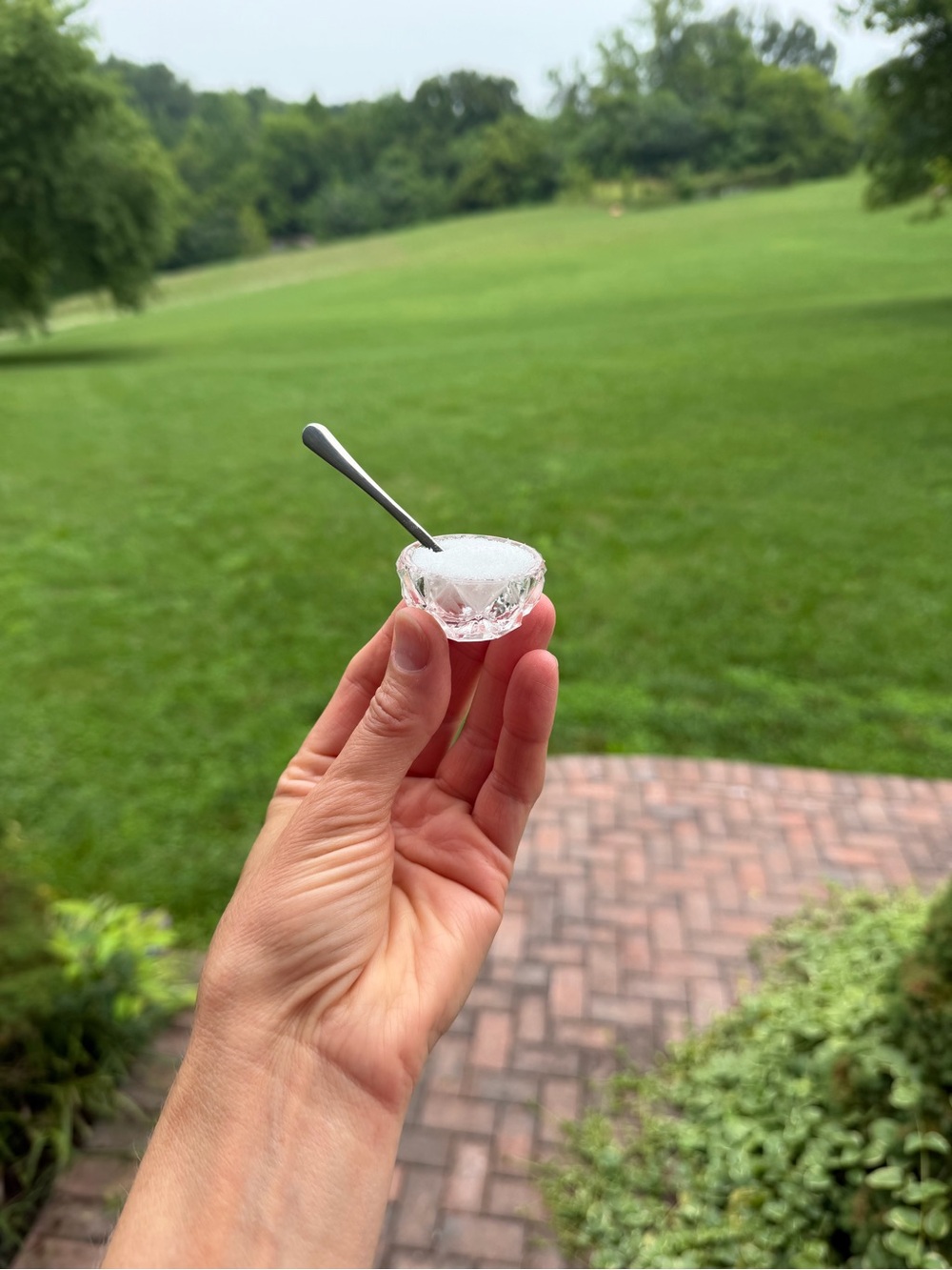 Vintage Clear Crystal Salt Cellar with Mini Spoon